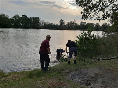6 Maaien Bergentheimerplas